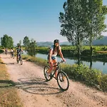 Maslina Daire Veliki Prolog