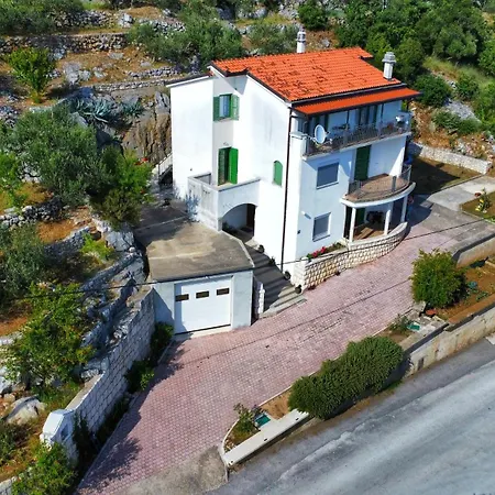Maslina * Veliki Prolog